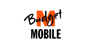 MBudget Logo