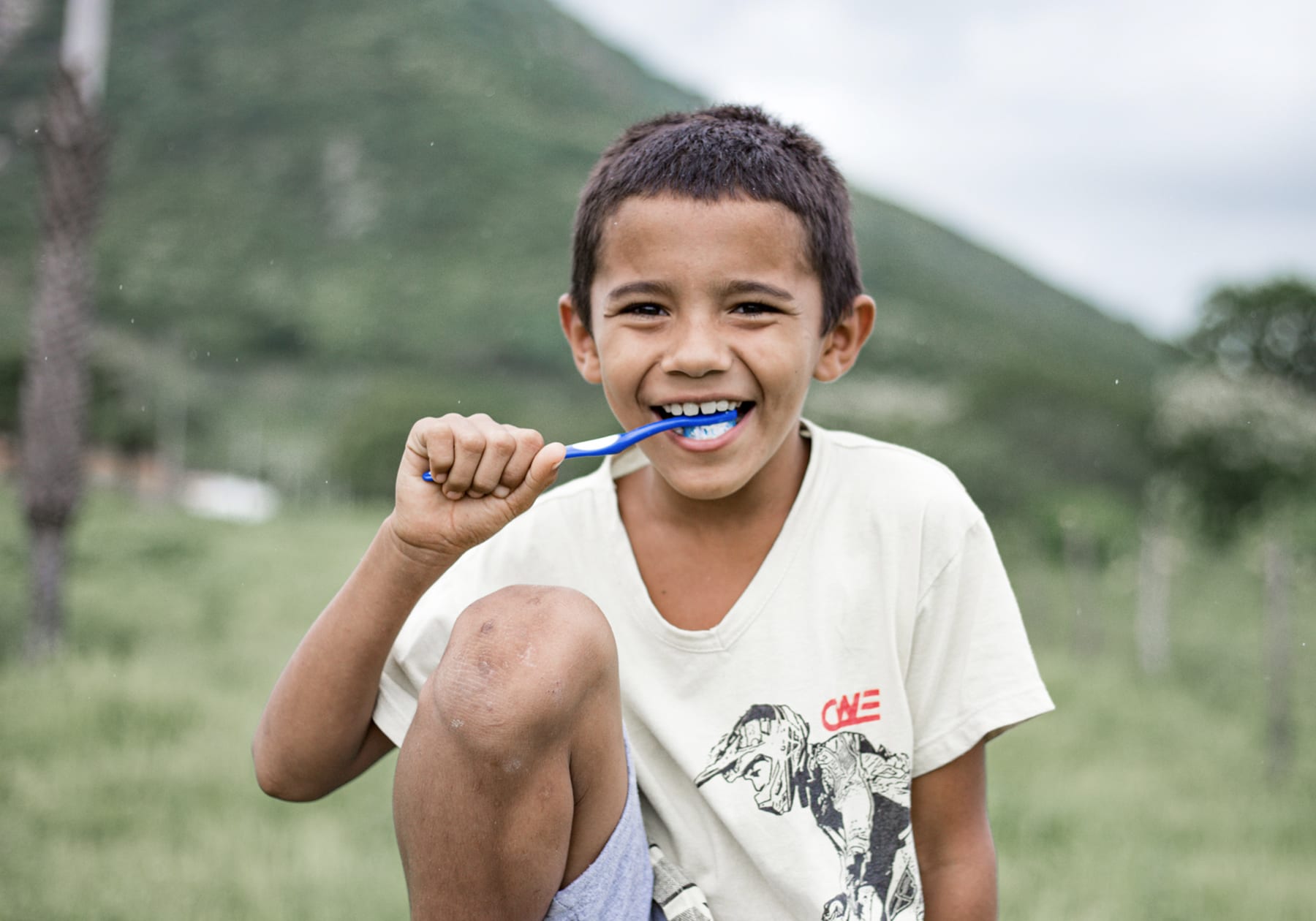 Dental Kits