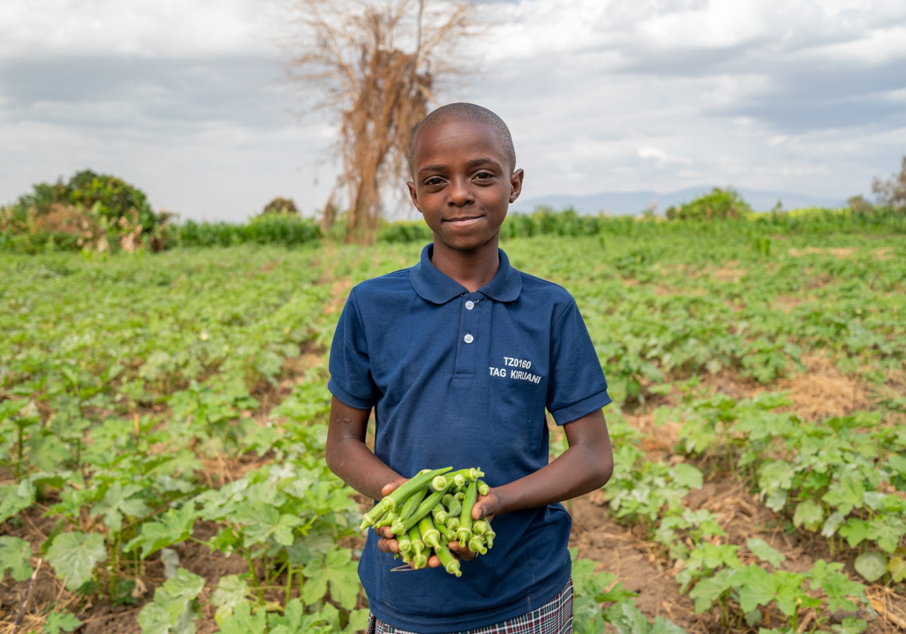 Irrigation Tools in Tanzania