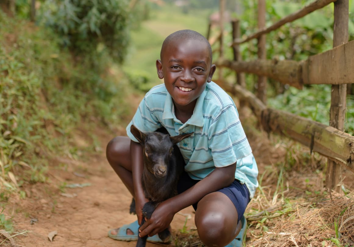 Goat Farming in Uganda