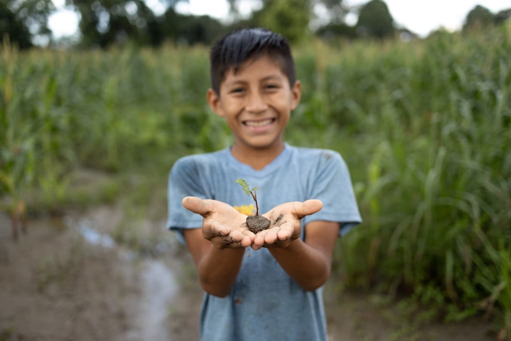 Martin, in a gray t-shirt, is standing in a field smiling and holding a small plant.