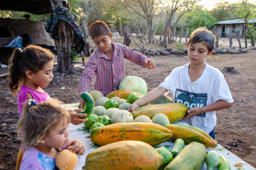 Children of the Compassion centre look at the fruits and vegetables produced in their new gardens.
