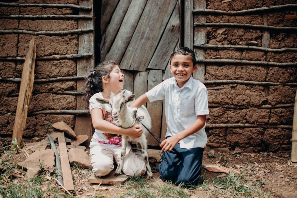 One little girl and one little boy laugh while holding a baby goat