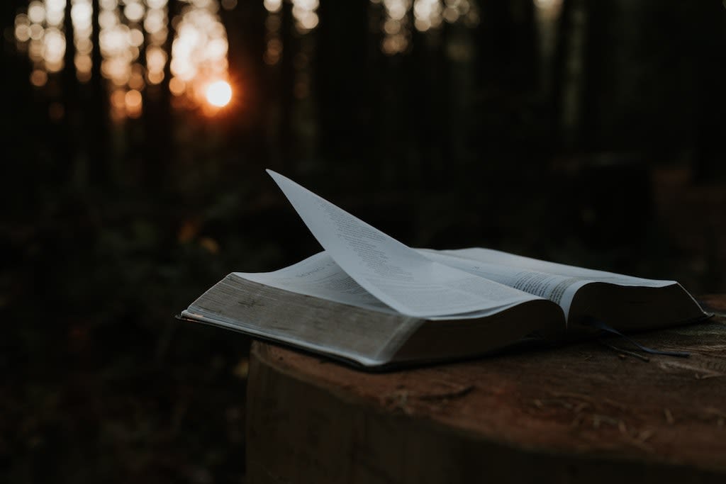 A bible with the pages flying in the wind.