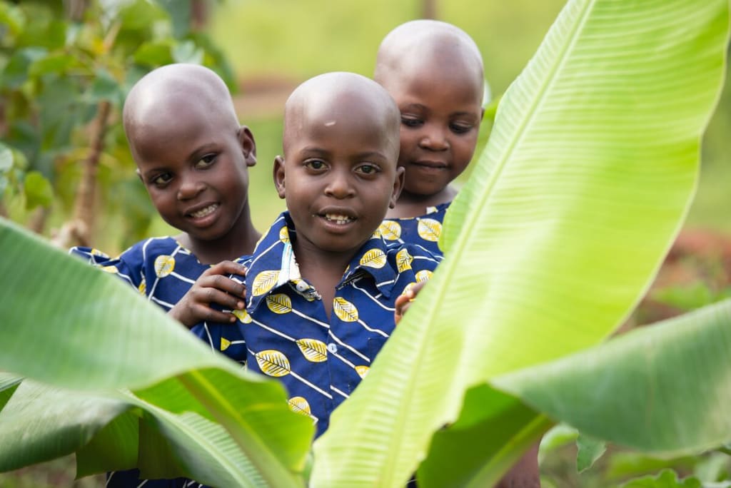 A portrait of the triplets.