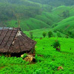 Links to 11 beautiful photos of “tiny homes” around the world