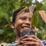 Links to What does creation care look like around the world?