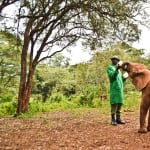 Links to Where are they now? 10 child sponsorship success stories