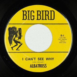 B-side —Albatross_Big_Bird_B-1_USA_Stock_45_B-side_cxeab7.jpg