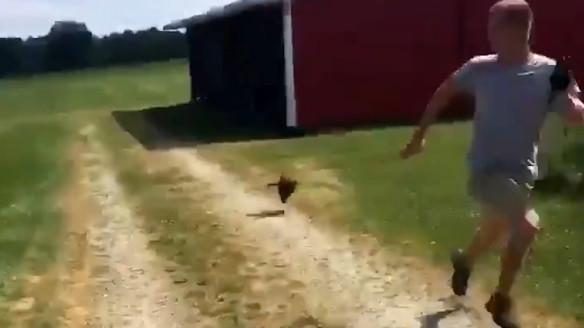 Guy Runs for His Life from Rooster