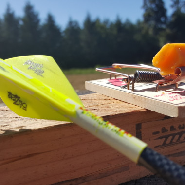 Mouse Trap: Trick Shots with Cam Hanes
