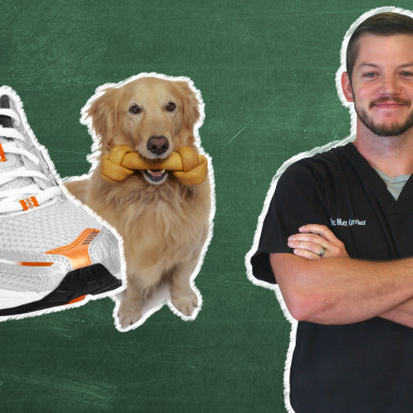 Pet 101: How to Keep Fido from Chewing