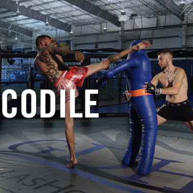 MMA Breakdown: Crocodile Tail