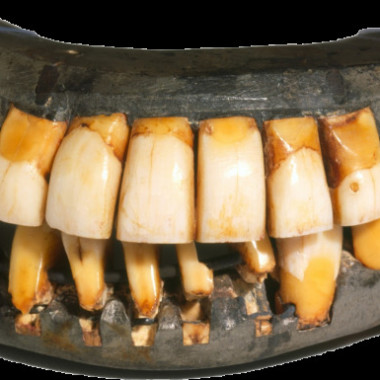 Strange Heartland History: How George Washington’s Teeth Helped Win the Revolution