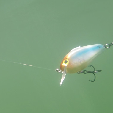 On the Hook, with Brian Latimer: Bass Fishing with Crank Bait