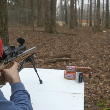 How Many Pieces of Fruitcake Would It Take to Stop the .17 HMR?