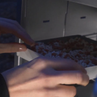 Bagel Bites in the Woods?! Thanks, Coleman!