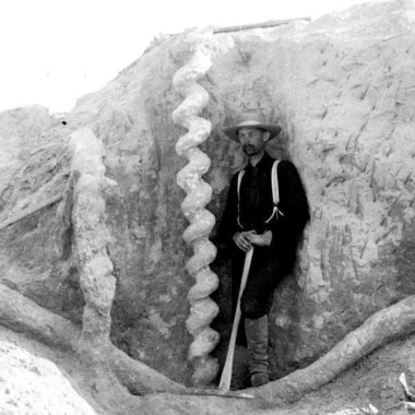 Strange Heartland History: Solving the Mystery of the Devil’s Corkscrew