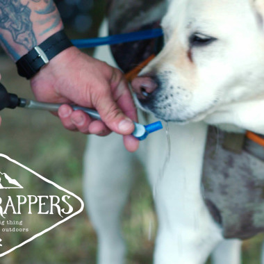 Keep Your Pup Hydrated With the Doggie Camel Pack | Bootstrappers