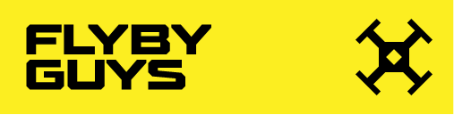 Fly-by Guys logo