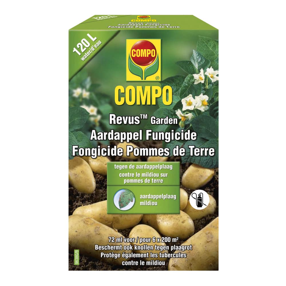 compo image
