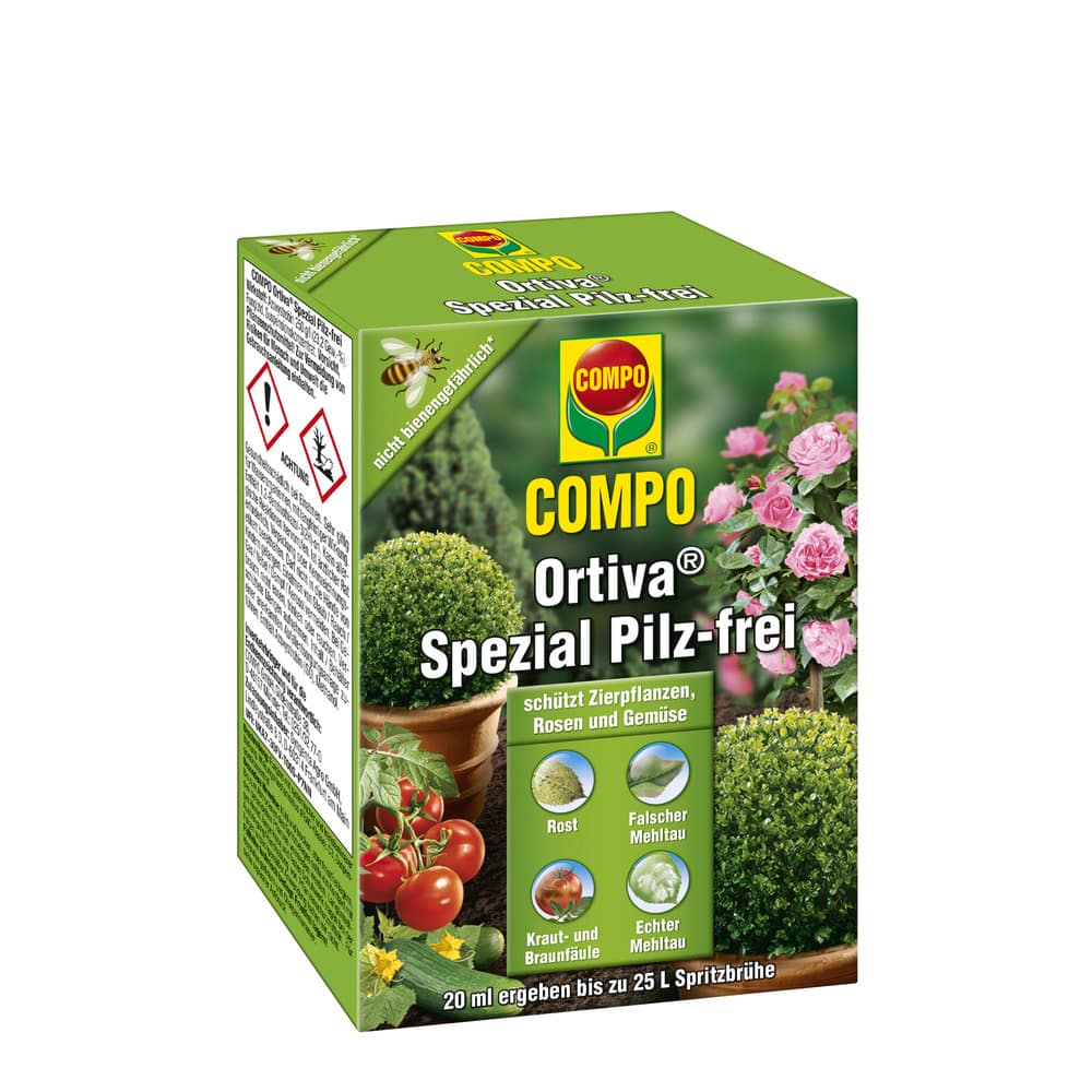 compo image