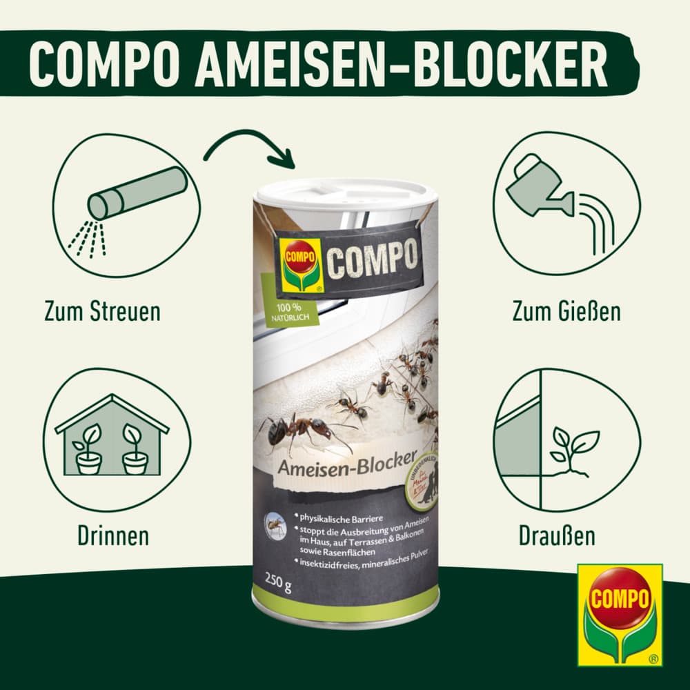 compo image