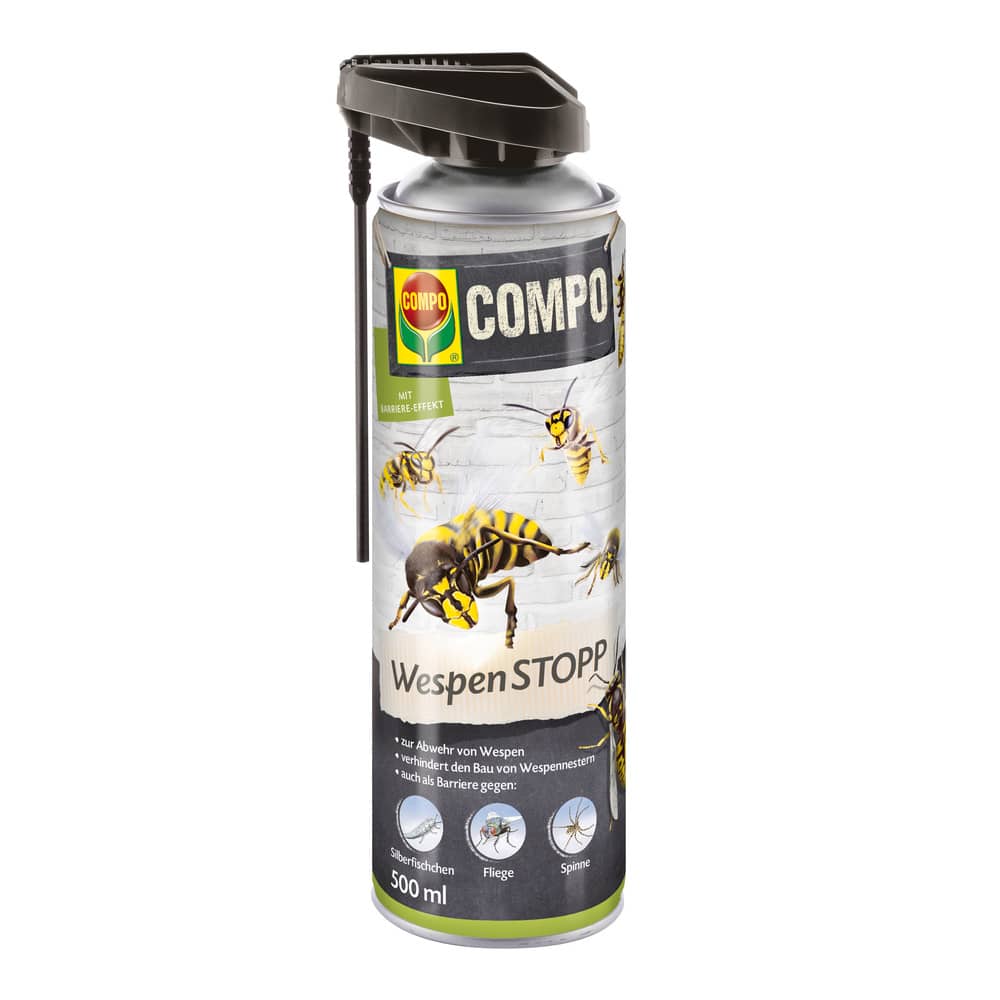 compo image