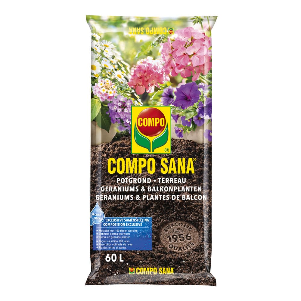 compo image