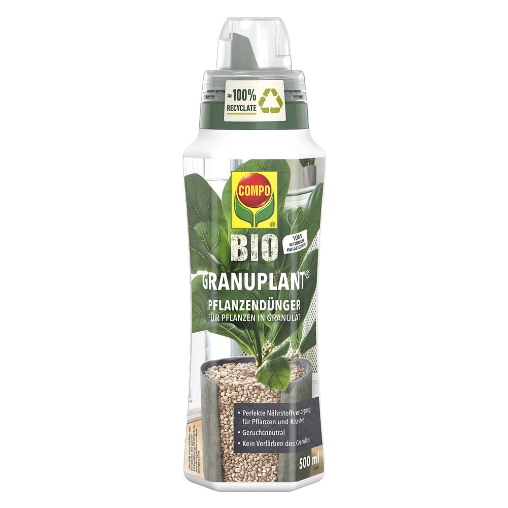 sportrasen saatgut Rasen-Saatgut Schattenrasen – 1 kg, Rasen-Saatgut Schattenrasen kaufen main image 1