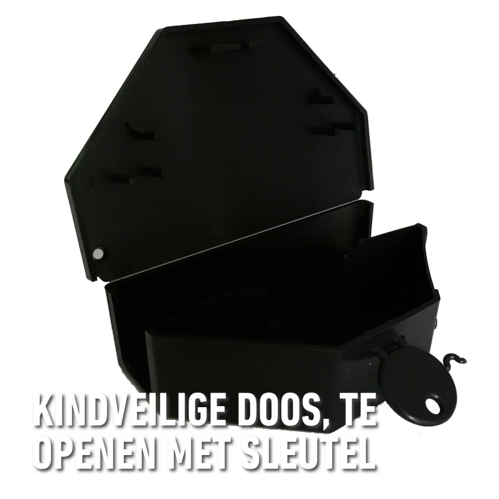 compo image