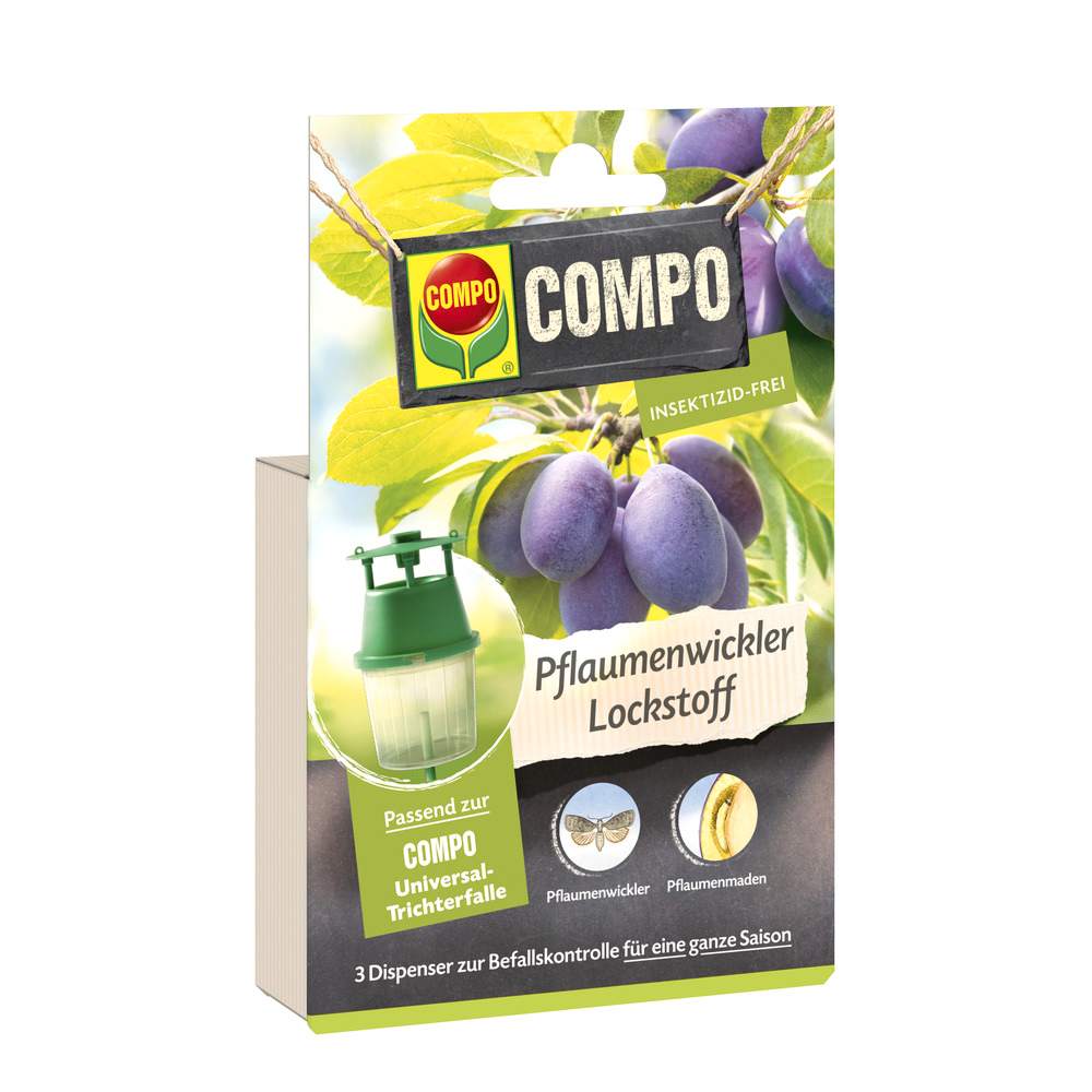 compo image
