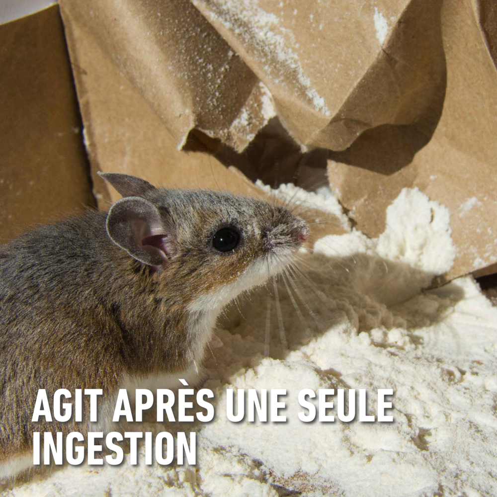 compo image