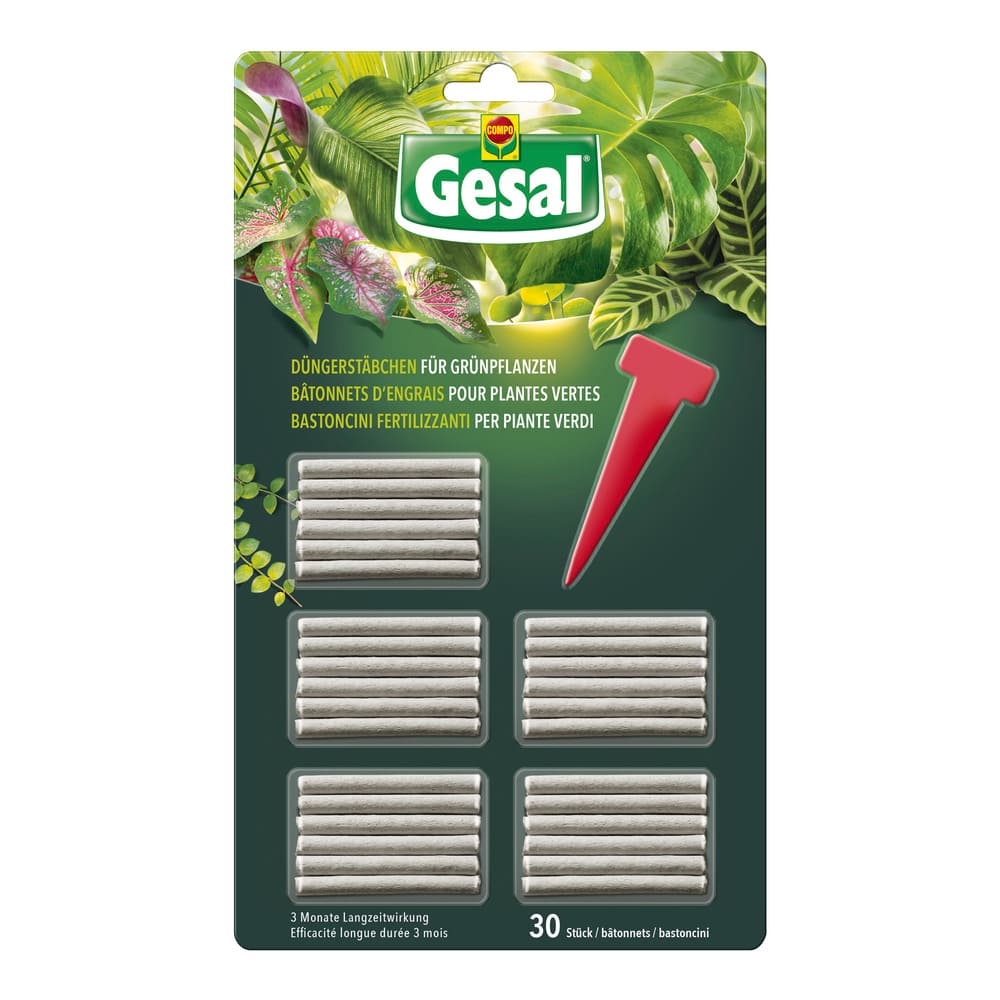 Substral Bastoncini Concime Per Piante Verdi - 30 Stick, Nutrienti E Oligoelementi, Vital Active