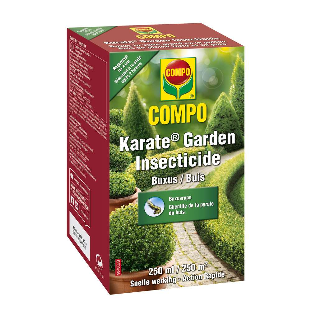 compo image