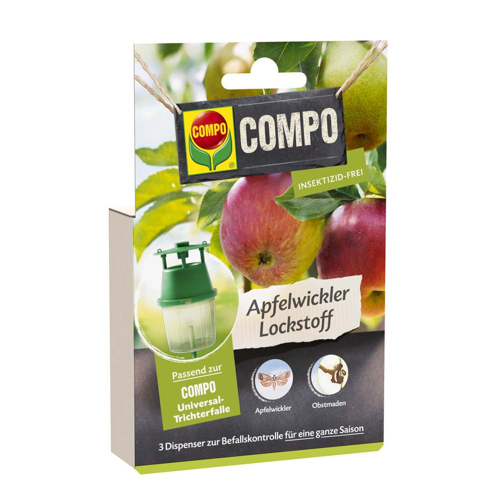 compo image