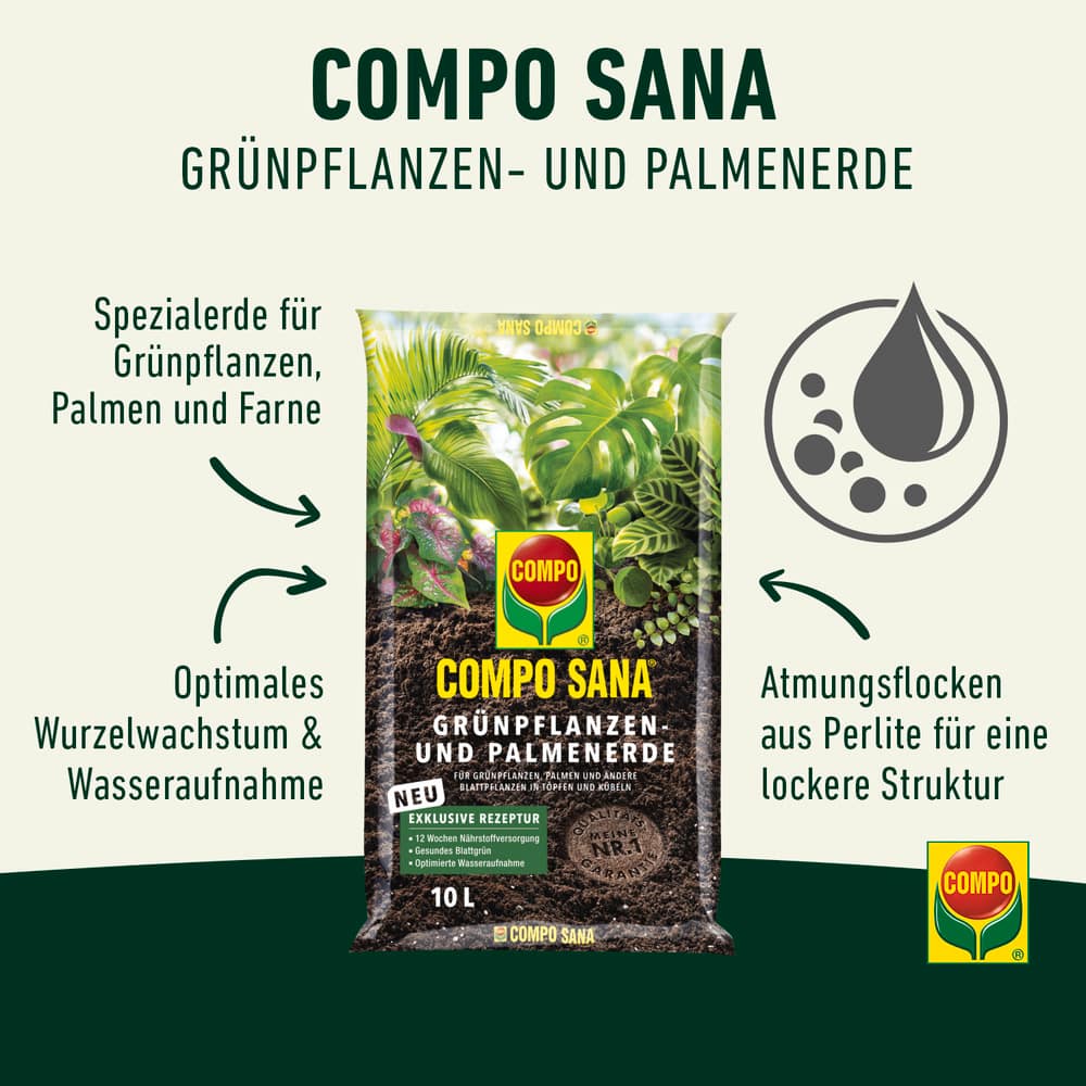 compo image