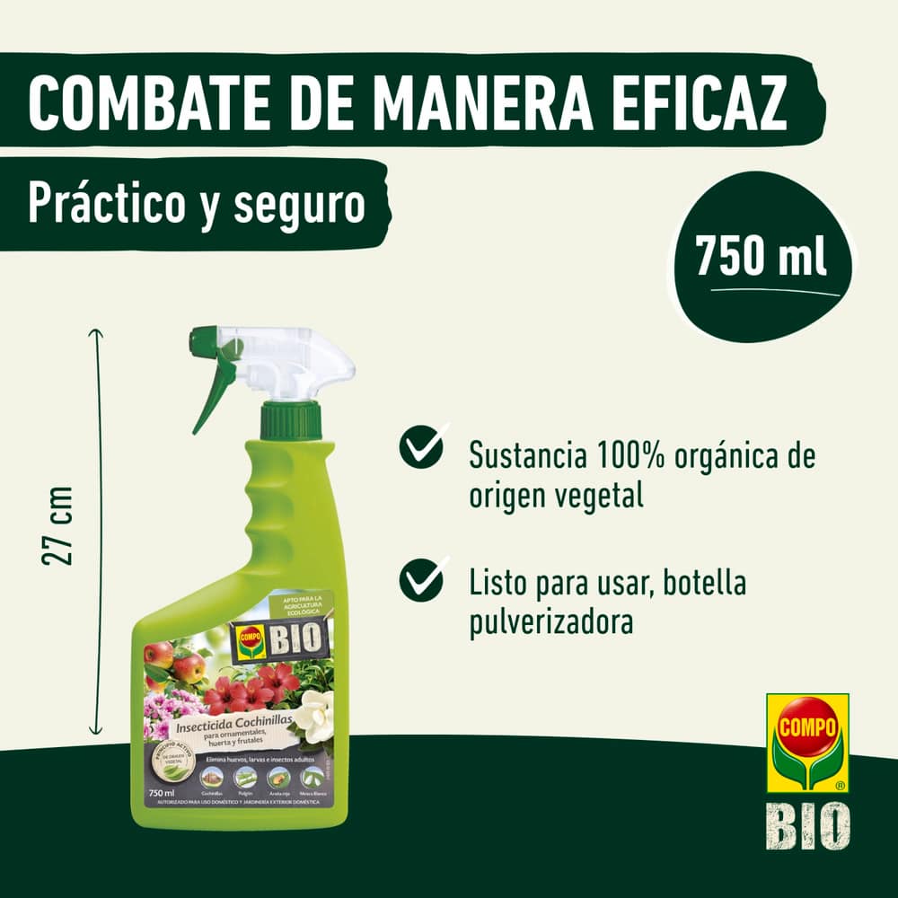 compo image