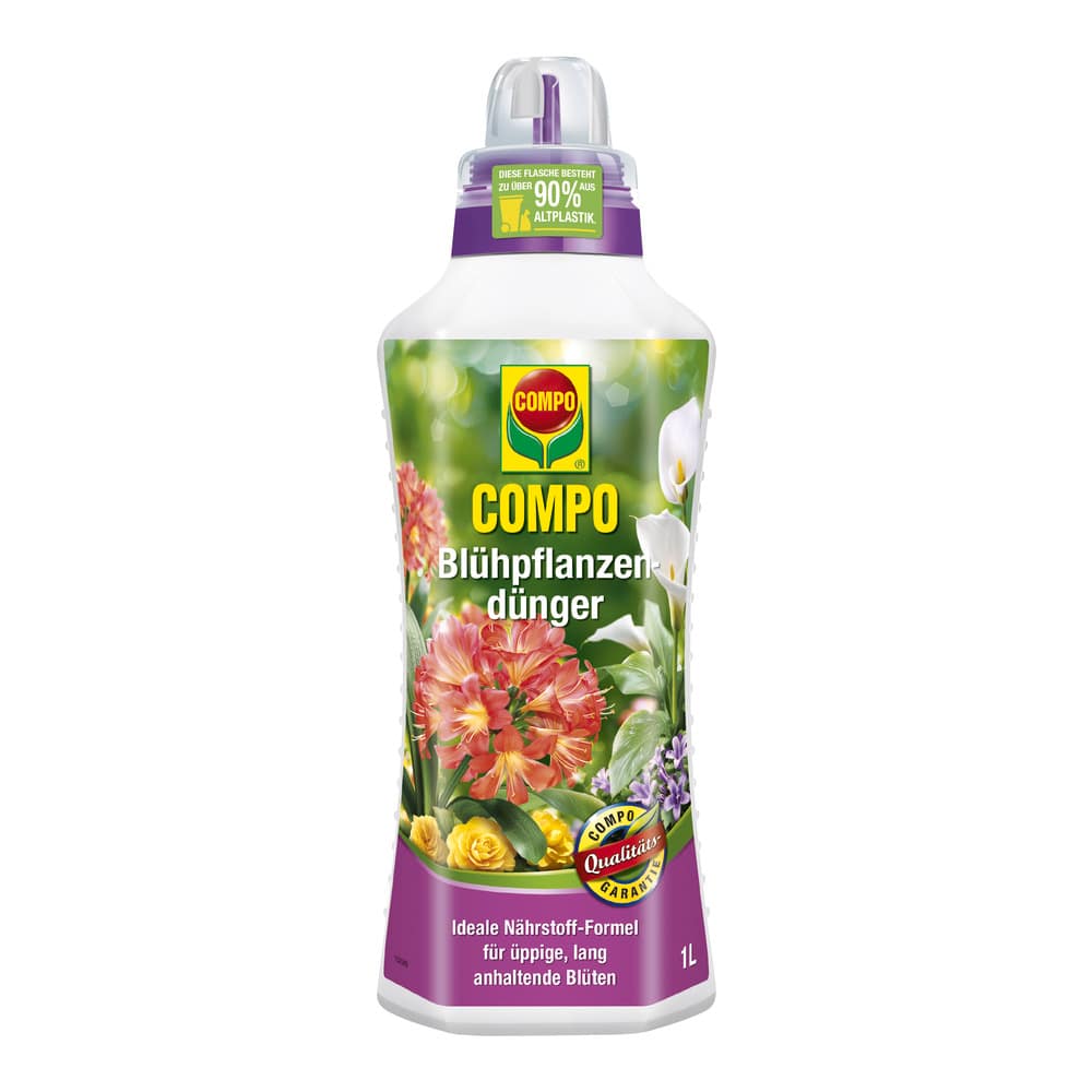 compo image