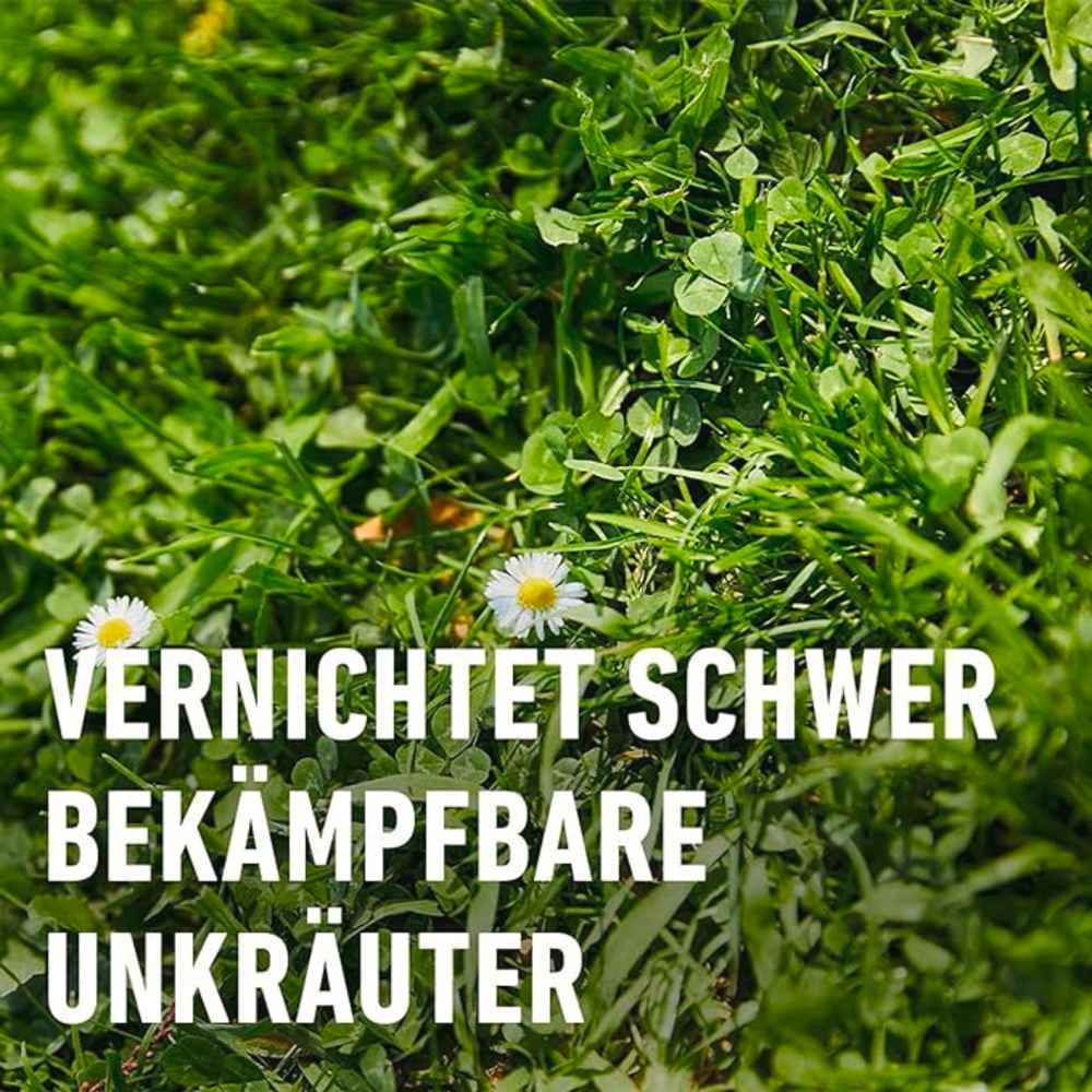 compo image