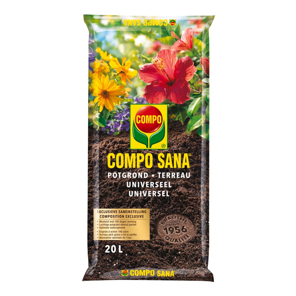 compo image
