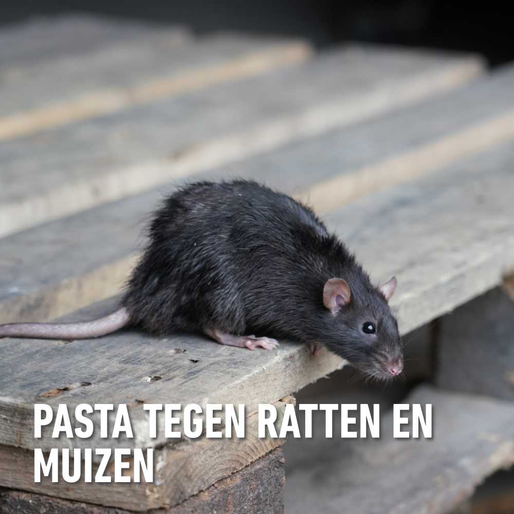 compo image