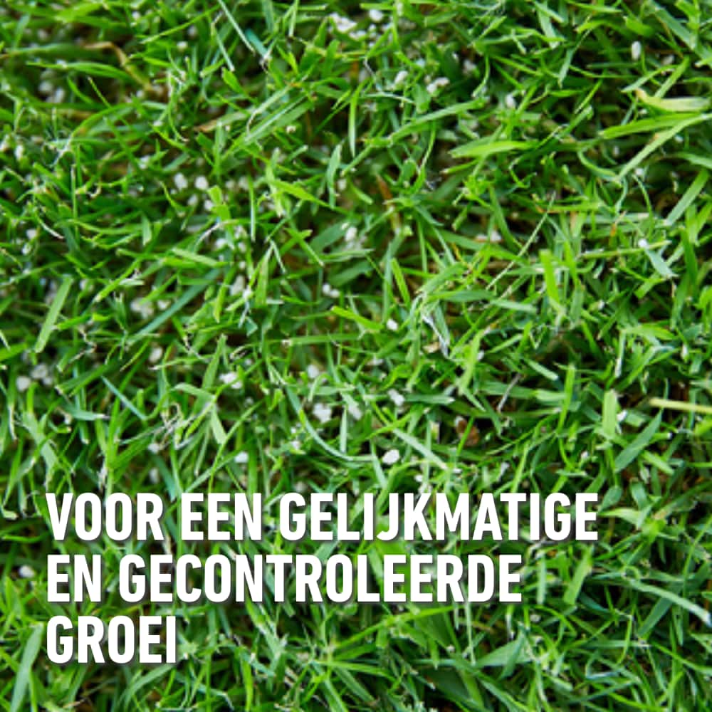 compo image