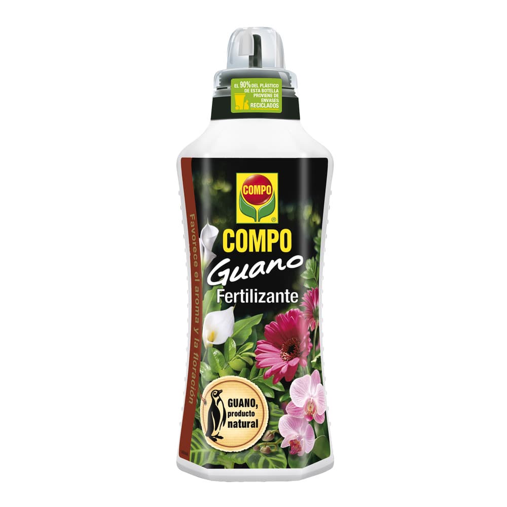compo image