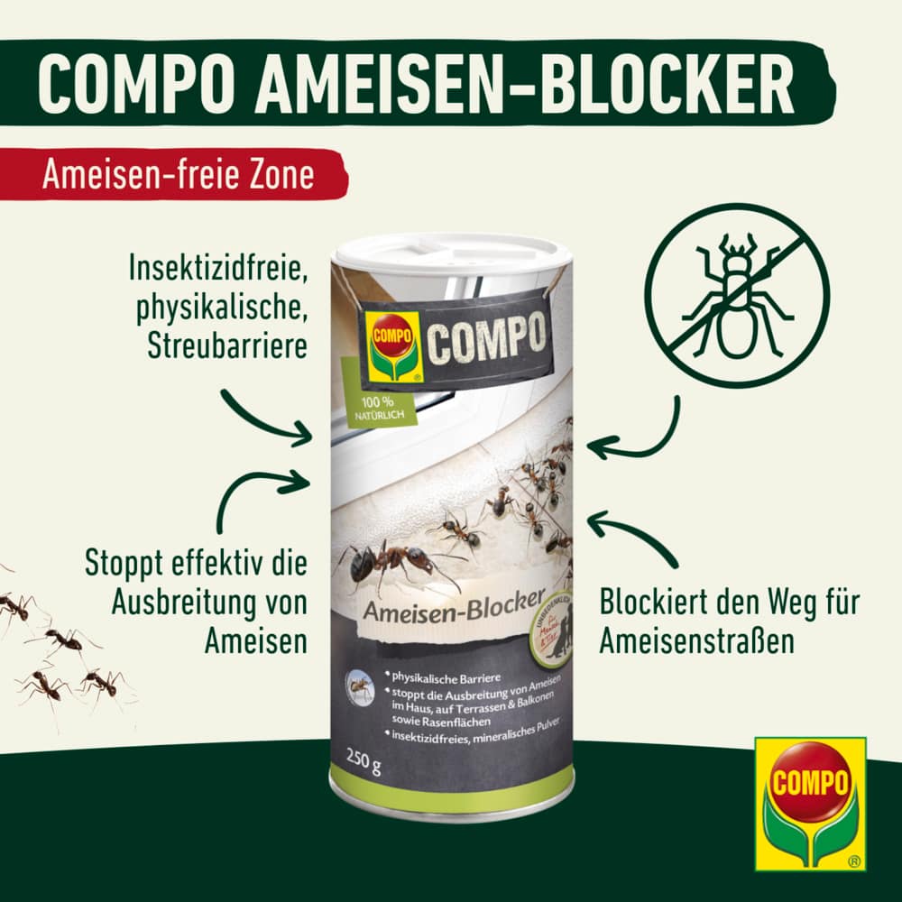 compo image