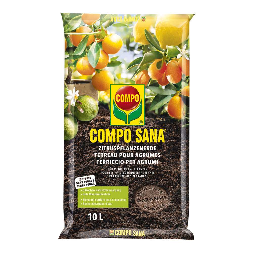 compo image
