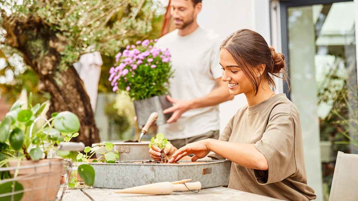 Frau beim Pflanzen auf der Dachterrasse