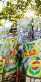 compo-blumenerden-mood-M8A2386