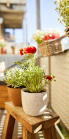 compo-blumenerden-mood-M8A9082
