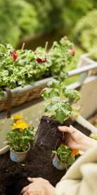 compo-blumenerden-mood-R9A5853